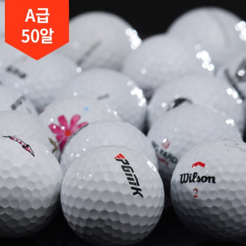 이미지 상세보기