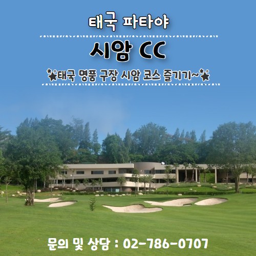 이미지 상세보기