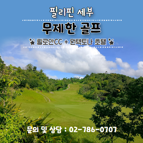 이미지 상세보기