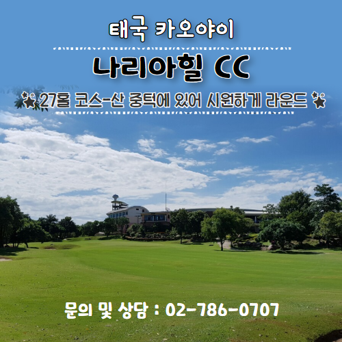 이미지 상세보기