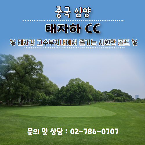 이미지 상세보기