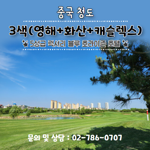 이미지 상세보기